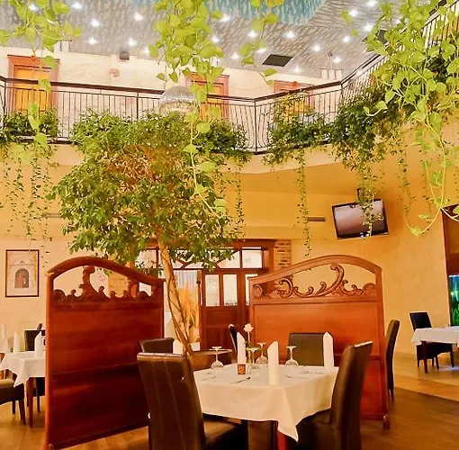 Malta Dabrowa Gornicza